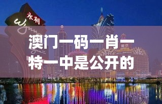 澳门一码一肖一特一中是公开的吗,可持续实施探索_X6.769