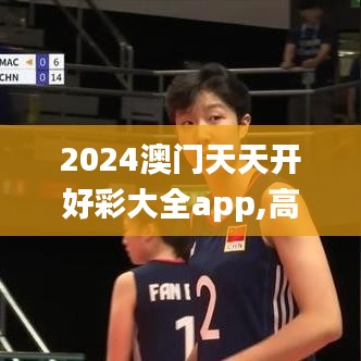 2024澳门天天开好彩大全app,高效策略设计_标准版5.264