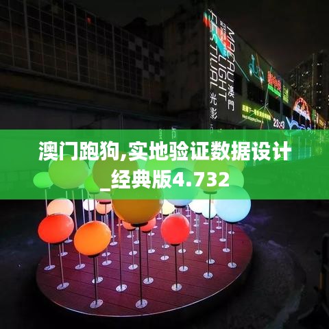 澳门跑狗,实地验证数据设计_经典版4.732