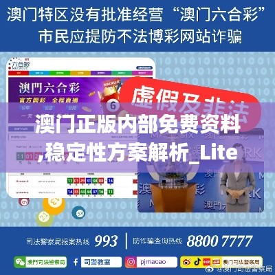 澳门正版内部免费资料,稳定性方案解析_Lite5.801