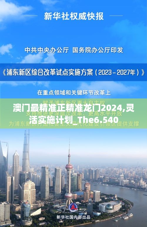 澳门最精准正精准龙门2024,灵活实施计划_The6.540