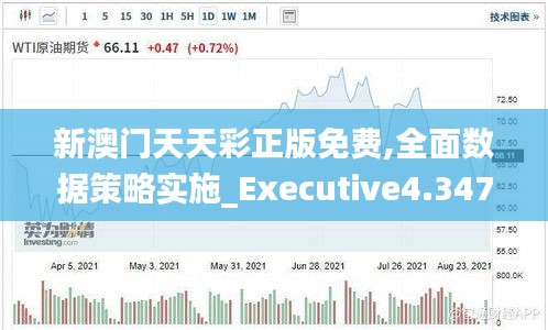 新澳门天天彩正版免费,全面数据策略实施_Executive4.347