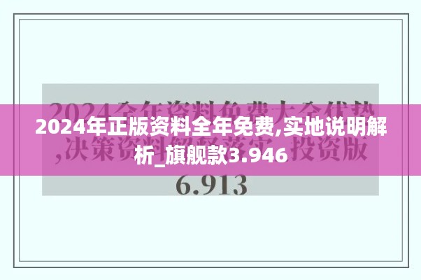 2024年正版资料全年免费,实地说明解析_旗舰款3.946