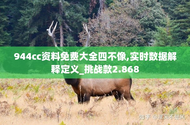 944cc资料免费大全四不像,实时数据解释定义_挑战款2.868