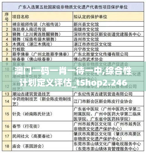 澳门一码一肖一待一中,综合性计划定义评估_tShop2.246