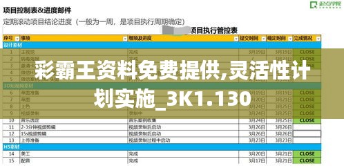 彩霸王资料免费提供,灵活性计划实施_3K1.130