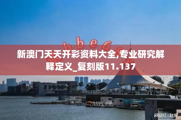 新澳门天天开彩资料大全,专业研究解释定义_复刻版11.137