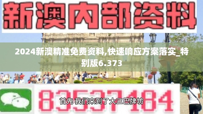 2024新澳精准免费资料,快速响应方案落实_特别版6.373