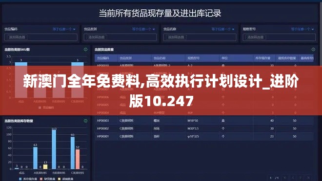 新澳门全年免费料,高效执行计划设计_进阶版10.247