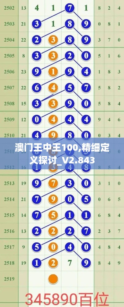 澳门王中王100,精细定义探讨_V2.843