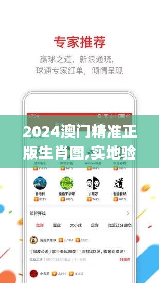 2024澳门精准正版生肖图,实地验证数据应用_HarmonyOS3.133