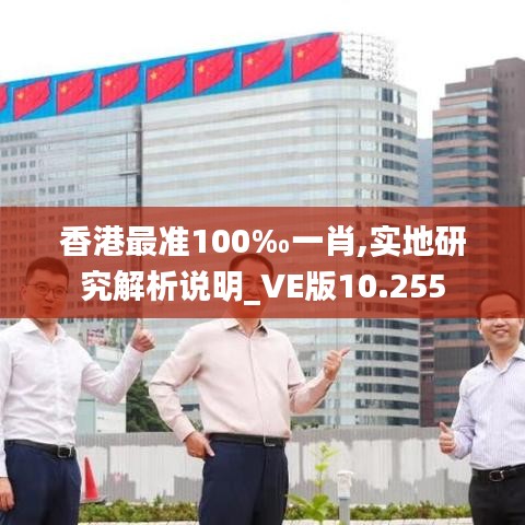 香港最准100‰一肖,实地研究解析说明_VE版10.255