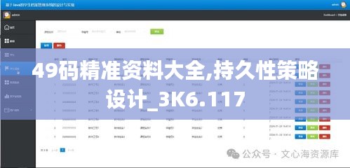 49码精准资料大全,持久性策略设计_3K6.117