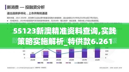 55123新澳精准资料查询,实践策略实施解析_特供款6.261