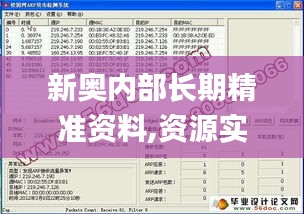 新奥内部长期精准资料,资源实施策略_Console2.202