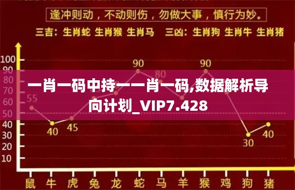 一肖一码中持一一肖一码,数据解析导向计划_VIP7.428