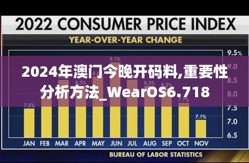 2024年澳门今晚开码料,重要性分析方法_WearOS6.718