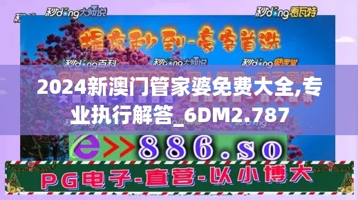 2024新澳门管家婆免费大全,专业执行解答_6DM2.787