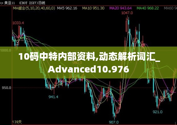 10码中特内部资料,动态解析词汇_Advanced10.976