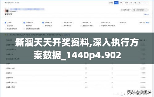 新澳天天开奖资料,深入执行方案数据_1440p4.902