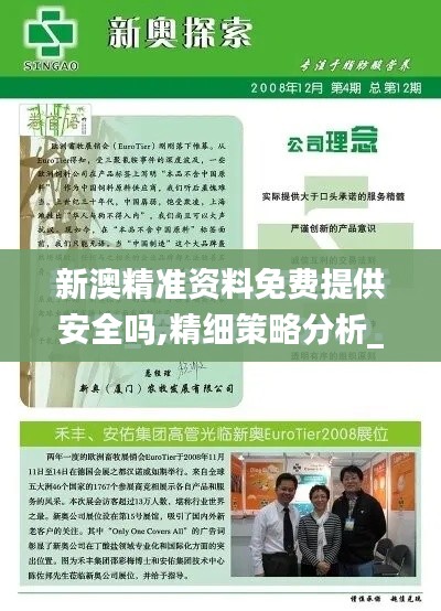 新澳精准资料免费提供安全吗,精细策略分析_网页版13.982