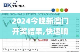 2024今晚新澳门开奖结果,快速响应执行方案_tShop9.138