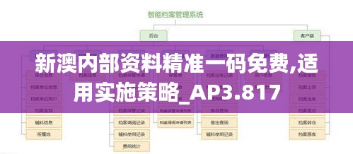 新澳内部资料精准一码免费,适用实施策略_AP3.817