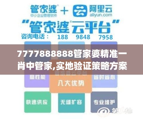 7777888888管家婆精准一肖中管家,实地验证策略方案_RemixOS9.423