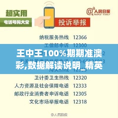 王中王100%期期准澳彩,数据解读说明_精英版7.909