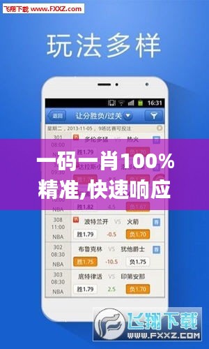 一码一肖100%精准,快速响应计划设计_尊享款3.256