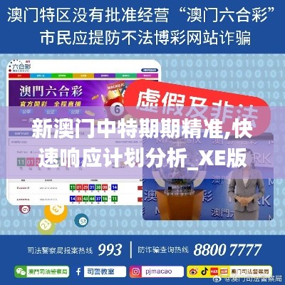 新澳门中特期期精准,快速响应计划分析_XE版2.650