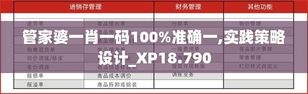 管家婆一肖一码100%准确一,实践策略设计_XP18.790