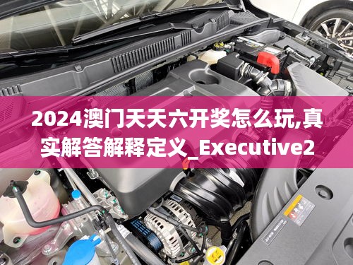 2024澳门天天六开奖怎么玩,真实解答解释定义_Executive2.250