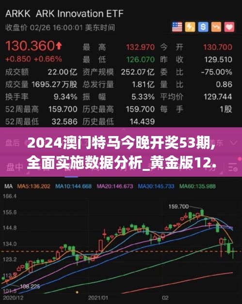 2024澳门特马今晚开奖53期,全面实施数据分析_黄金版12.740