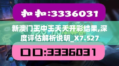 新澳门王中王天天开彩结果,深度评估解析说明_X7.527