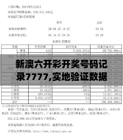 新澳六开彩开奖号码记录7777,实地验证数据计划_特别款8.614