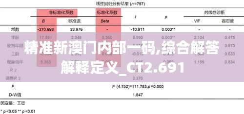 精准新澳门内部一码,综合解答解释定义_CT2.691