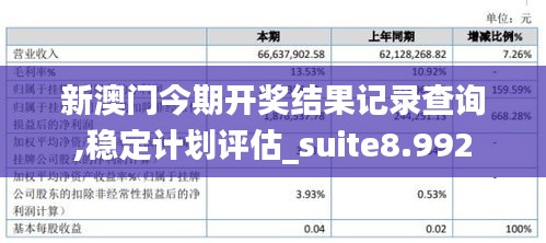 新澳门今期开奖结果记录查询,稳定计划评估_suite8.992