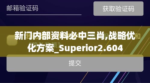 新门内部资料必中三肖,战略优化方案_Superior2.604