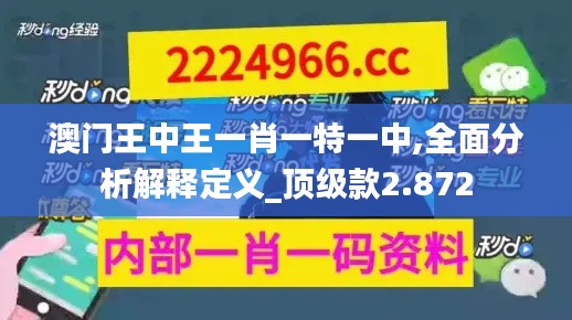 澳门王中王一肖一特一中,全面分析解释定义_顶级款2.872