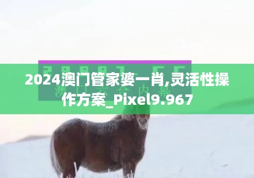 2024澳门管家婆一肖,灵活性操作方案_Pixel9.967