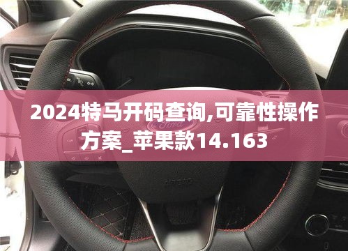 2024特马开码查询,可靠性操作方案_苹果款14.163