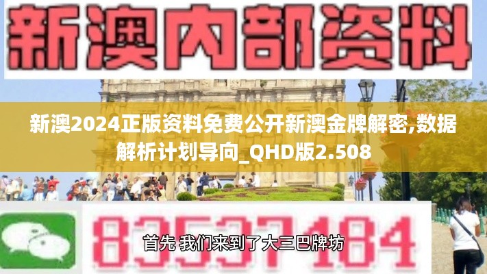 新澳2024正版资料免费公开新澳金牌解密,数据解析计划导向_QHD版2.508