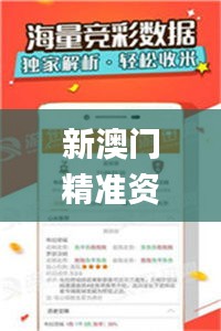 新澳门精准资料大全管家婆料,数据资料解释定义_钱包版1.573