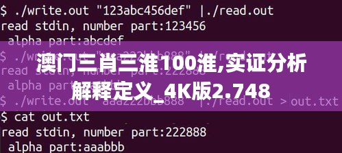 澳门三肖三淮100淮,实证分析解释定义_4K版2.748