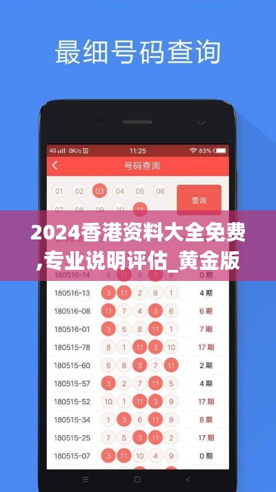 2024香港资料大全免费,专业说明评估_黄金版110.784