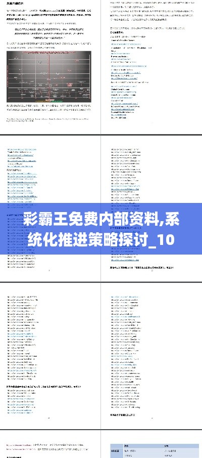 彩霸王免费内部资料,系统化推进策略探讨_10DM11.685