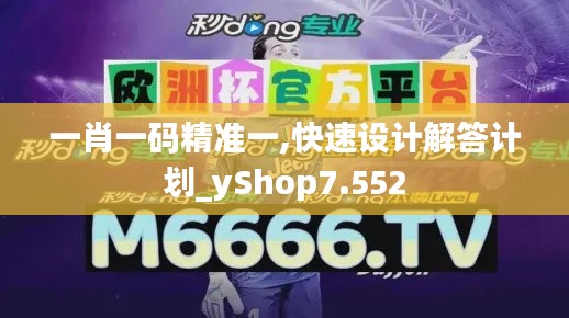 一肖一码精准一,快速设计解答计划_yShop7.552