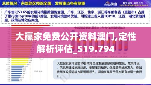 大赢家免费公开资料澳门,定性解析评估_S19.794