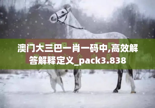 澳门大三巴一肖一码中,高效解答解释定义_pack3.838